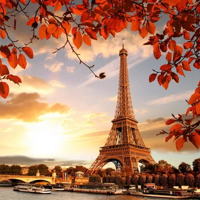 Золотая осень в Париже - 42 фото
