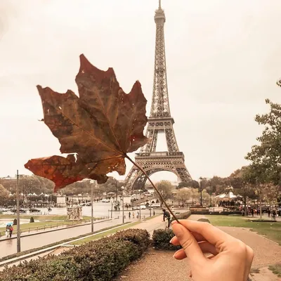 осень в париже фото в париже идеи для фото в париже фото в парижском стиле  paris style instagram paris photo эйфелева башня фо… | Eiffel tower, Paris  skyline, Tower