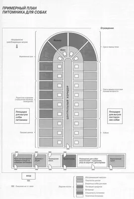 План племенного питомника