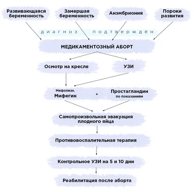 Медикаментозное прерывание беременности до 7-ой недели беременности, прием  гинеколога в СПб