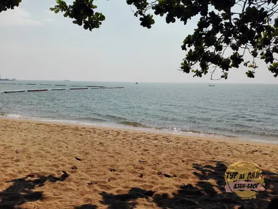 Пляж Джомтьен - самый длинный в Паттайе? | ТурДеЛайф - фаранги в Тае | Дзен