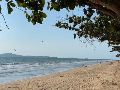 Пляж Джомтьен в Паттайе (Таиланд) с фото и отзывами