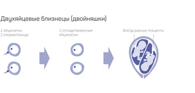 Как зачать девочку: по овуляции, по обновлению крови, по таблице, по  народным приметам - Телеграф