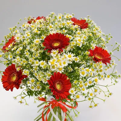 Букет из гербер и ромашек Полевые цветы, Flowers \u0026 Gifts Moscow, buy at a  price of 6050 RUB, Florists Specials on Charlotte with delivery | Flowwow