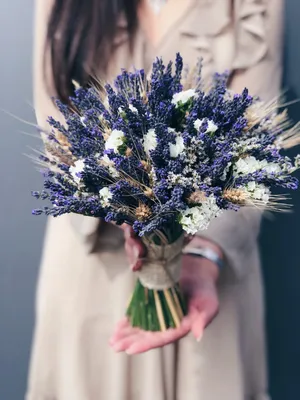 Букет из 21 матрикарии - Доставка цветов в Санкт-Петербурге | Весна - сеть  цветочных магазинов