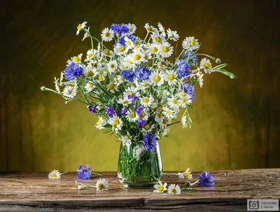 Незатейливый букет полевых цветов | Обои для телефона