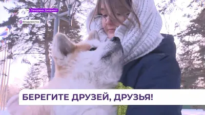Трех породистых щенков передал новым хозяевам губернатор Приморского края -  YouTube