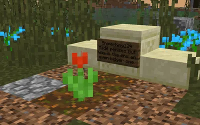 Игрок в Minecraft получил пермаментный бан на сервере за постройку пенисов.  Его друг решил его помянуть, построив небольшую могилу | Пикабу