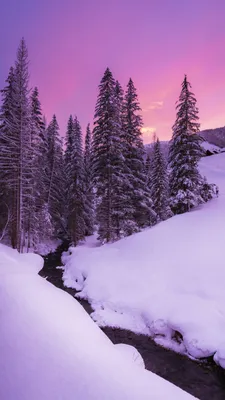 Зима, природа, лес Обои 1080x1920 iPhone 6 Plus, 7 Plus, 8 Plus