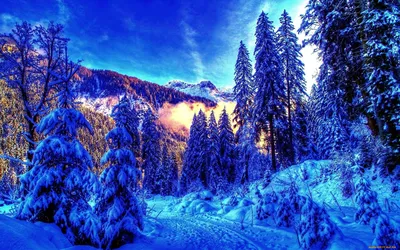 Красивые обои зима 2560x1600, фото зимы обои высокого качества