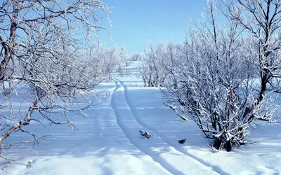 Ландшафт, природа, горы, снега, зима, Стоковое Изображение - изображение  насчитывающей туризм, утес: 167067297