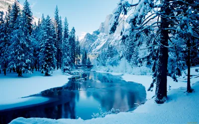 Обои Blue Winter Природа Зима, обои для рабочего стола, фотографии blue,  winter, природа, зима, лес, мост, снег, река Обои для рабочего стола,  скачать обои картинки заставки на рабочий стол.