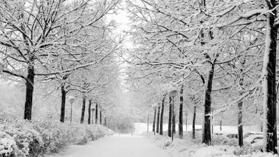 Зима пейзаж - фото и картинки: 62 штук