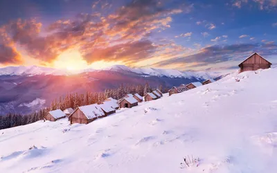 обои : природа, Зима, легкий, Яркий 1280x1024 - wallup - 1069806 - красивые  картинки - WallHere