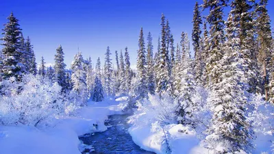Обои Зимняя природа, картинки - Обои для рабочего стола Зимняя природа фото  из альбома: (природа)