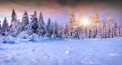 Обои на телефон: Зима, Природа, Снег, Лес, Ландшафт, Солнечный Луч, Земля/ природа, 728636 скачать картинку бесплатно.