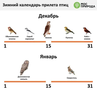Мосприрода составила календарь отлета птиц из Москвы