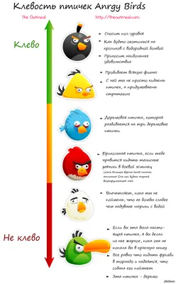 Клевость птичек Angry Birds | Пикабу