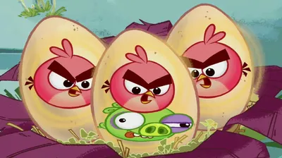 Злые птички - Энгри Бердс - Поющие яйца (S1E5) || Angry birds Toons -  YouTube