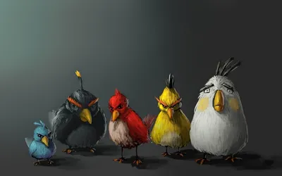Пять птичек из angry birds на сером фоне - обои на рабочий стол