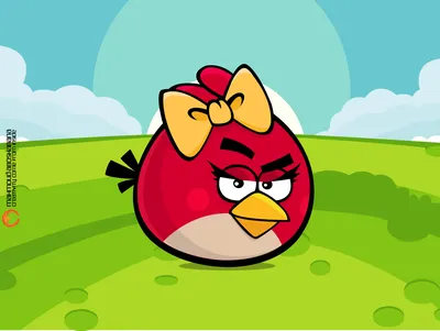 Красная птичка девочка - Angry Birds - YouLoveIt.ru