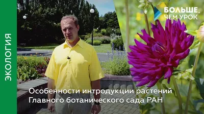 Особенности интродукции растений Главного ботанического сада РАН - YouTube