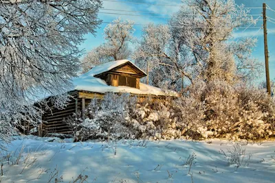 Frost и снежная зима в русской деревне Природа Стоковое Изображение -  изображение насчитывающей ðºñ€ð°ñ ð¸ð²ðµð¹ñˆðµðµ, ñ ñ‚ñ€ð°ð½ð°: 137946201