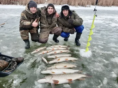 Рыбаков на зимней рыбалке фото