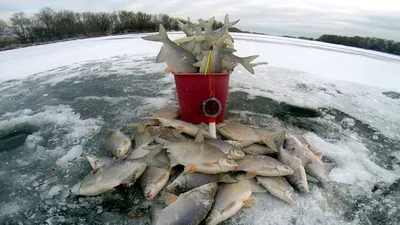 На Харьковщине начал действовать запрет на рыбалку в зимовальных ямах  (карта) | За нарушение запрета зимней ловли на ямах рыбаков будут штрафовать