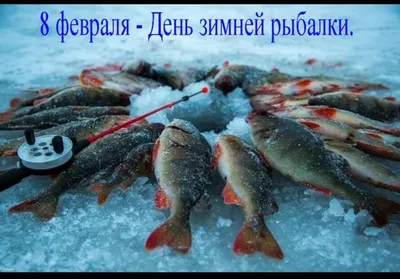 С Днём рыбака ! - Страница 6 - Ульяновский ФОРУМ любителей рыбалки