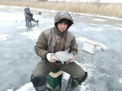 Зимняя рыбалка | Вестник