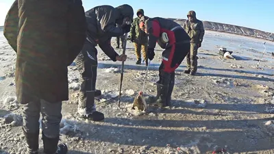 Без пешни ОНО НЕ ПРОЛЕЗАЕТ в лунку! Зимняя рыбалка в толпе рыбаков - YouTube