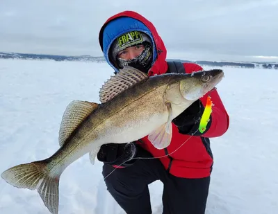 Туда, где нет рыбаков, приходят браконьеры | fishcom.online