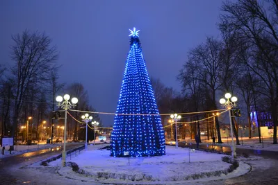 К Новому году Тверь украсят светодиодные фонтаны, снежинки, веера и медведь  - ТИА
