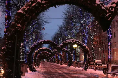 На улицах Ярославля начали включать новогодние гирлянды | Первый  ярославский телеканал