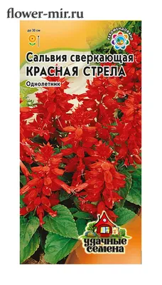 Сальвия (Шалфей) Красная Стрела 0,05 гр. серия Удачные Семена купить оптом  в Томске по цене 12,41 руб.