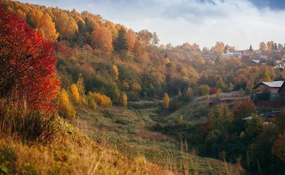 Природа красиво рождается и красиво умирает.... Фотограф Евгений Толкачёв