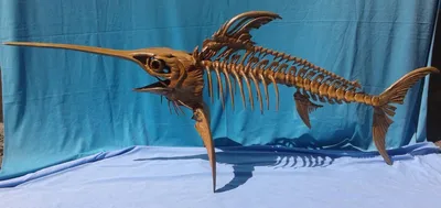 Ученые: В Австралии найдет скелет рыбы-меч возрастом 100 млн лет