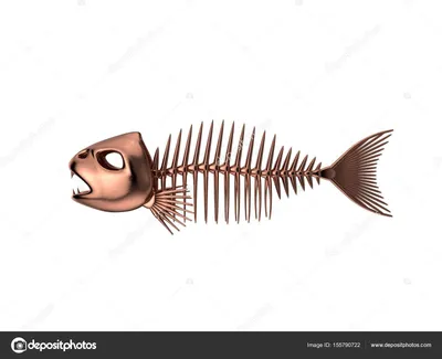 Кости рыбы арт - 57 фото