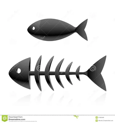 скелет рыб иллюстрация вектора. иллюстрации насчитывающей позвонок -  21893496