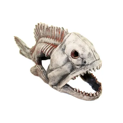 Игрушка KONG Alley Kat Скелет рыбы в ассортименте