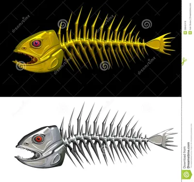 Скелет рыбы иллюстрация штока. иллюстрации насчитывающей ð¼ðµñ€ñ‚ð²o -  26842418