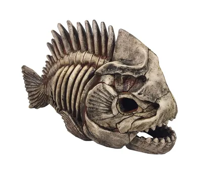 ⬇ Скачать картинки Скелет рыбы металл, стоковые фото Скелет рыбы металл в  хорошем качестве | Depositphotos