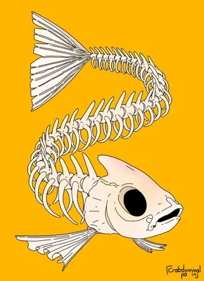 Скелет рыбы прикольный рисунок - 57 фото