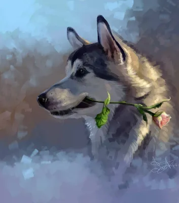 Фото шпица щенки собака Пионы Цветы Животные
