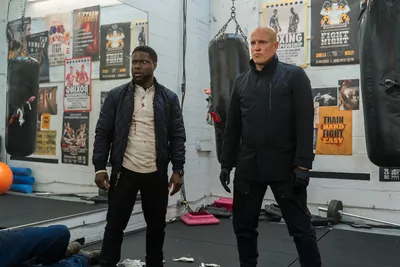 Кевин Харт (Kevin Hart, Kevin Darnell Hart) - актёр - фотографии -  голливудские актёры - Кино-Театр.Ру