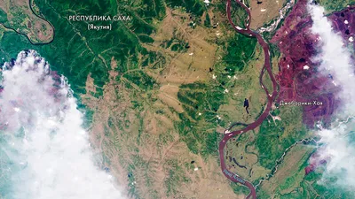 Роскосмос» показал фотографию пожаров в Сибири с орбиты — РБК