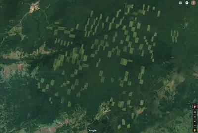 Леса Сибири со спутника - фото и картинки: 69 штук