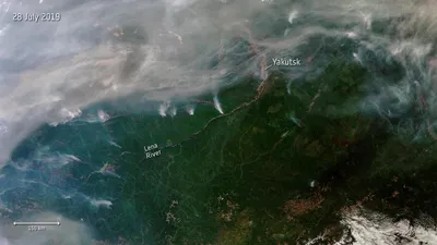 Спутники сфотографировали лесные пожары в Сибири