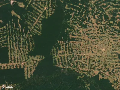 Леса со спутника (70 фото) »
